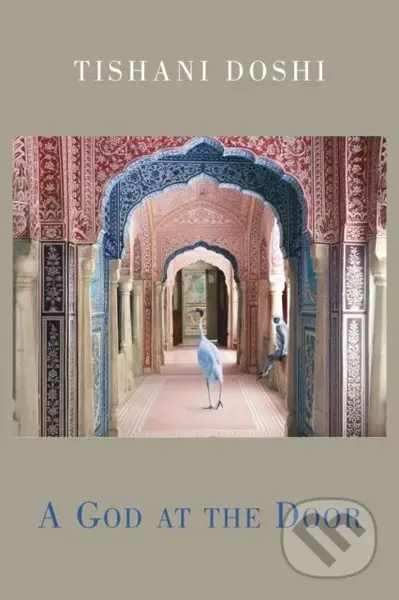 A God at the Door - Tishani Doshi - kniha z kategorie Poezie