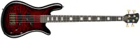 Spector Icon NS-2 Bolt-On Black Cherry