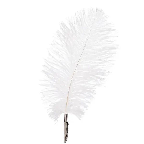 Biele pierko 6 ks 18x9 cm 1112647