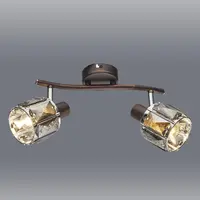 Stropné bodové svietidlo 54357-2B LS2