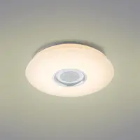 Stropní svítidlo 41329-18