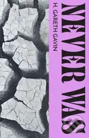 Never Was - Honor Gavin - kniha z kategorie Společenská beletrie