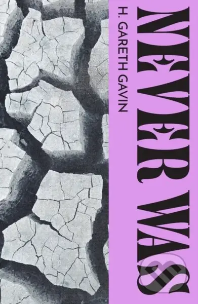 Never Was - Honor Gavin - kniha z kategorie Společenská beletrie