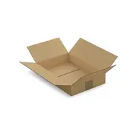 25 x Kartonová krabice 310x215x55mm, hnědá, klopová,třívrstvá vlnitá lepenka (3VVL) | RAJA