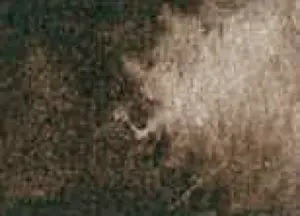 Akvarelová barva DS 5ml – 097 Raw Umber