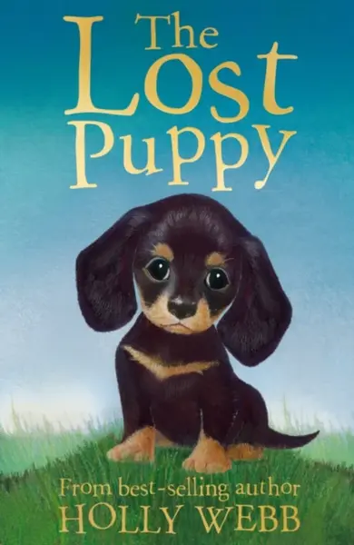 The Lost Puppy - Holly Webbová