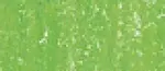 Sennelier suchý pastel 229 Chromium Green