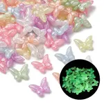 Luminous Transparent Acrylic Beads