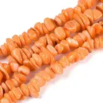 Dyed Natural Freshwater Shell Beads Strands