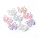Transparent Acrylic Beads