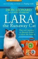 Lara The Runaway Cat (One Cat’s Journey to Discover Home is Where the Heart is) - kniha z kategorie Společenská beletrie