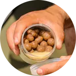 One more cast dumbells nut sauce infused hardened dumbells iscream 150 g 12x16 mm & 14x18 mm