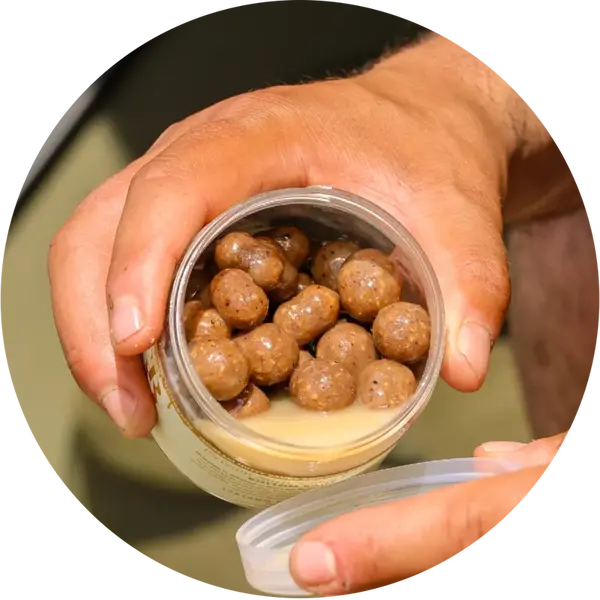 One more cast dumbells nut sauce infused hardened dumbells iscream 150 g 12x16 mm & 14x18 mm