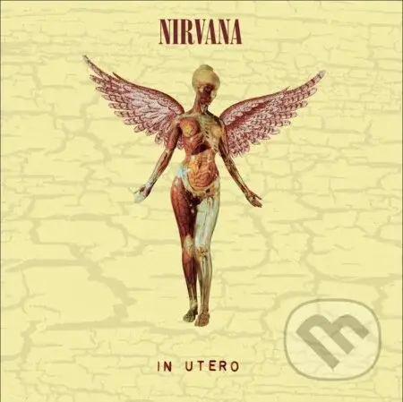 Nirvana: In Utero / 30th Anniversary LP - Nirvana