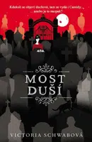 Most duší - Schwabová Victoria