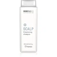 Framesi Morphosis Scalp hloubkově čisticí šampon 250 ml