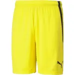 Puma TEAM LIGA SHORTS Pánské šortky, žlutá, velikost XXL