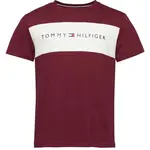 Tommy Hilfiger BLOCK LOGO SS Pánské triko, vínová, velikost