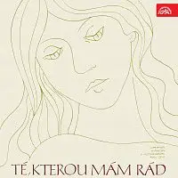 Různí interpreti – Té, kterou mám rád