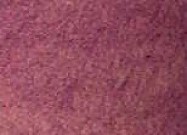 Akvarelová barva DS 5ml – 4032 Iridescent Ruby