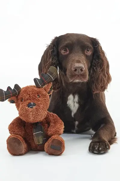 Barbour  Psí hračka  Reindeer Toy 19 cm