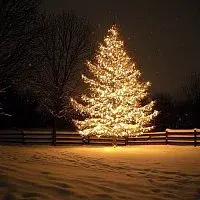 Adéla Nedvědová – Co si přát