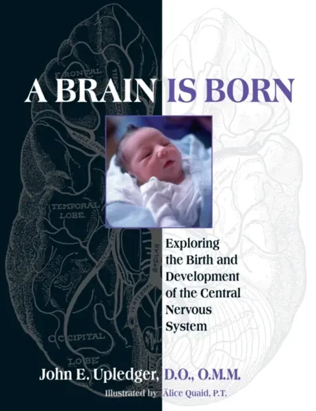 A Brain Is Born - Upledger John E.