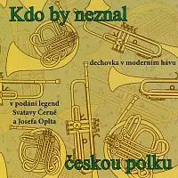 Různí interpreti – Kdo by neznal českou polku