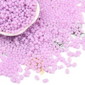 Baking Paint Glass Seed Beads