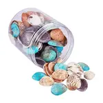Dyed Natural Shell Beads