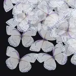 Organza Fabric