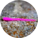 Redbass gumová nástraha micro tail signal pink uv color - s 48 mm