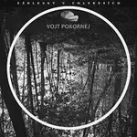 Vojt Pokornej – Záblesky v chlebesích