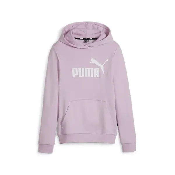 Puma ESS Logo Hoodie TR G 116