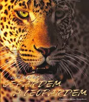 Jaké je to být Gepardem a Leopardem - Christine Denis-Huot, Michel Denis-Huot