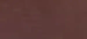 Renesans Akryl 200ml – 48 Umbra pálená