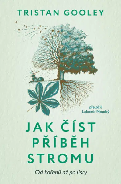 Jak číst příběh stromu - Od kořenů až po listy - Tristan Gooley