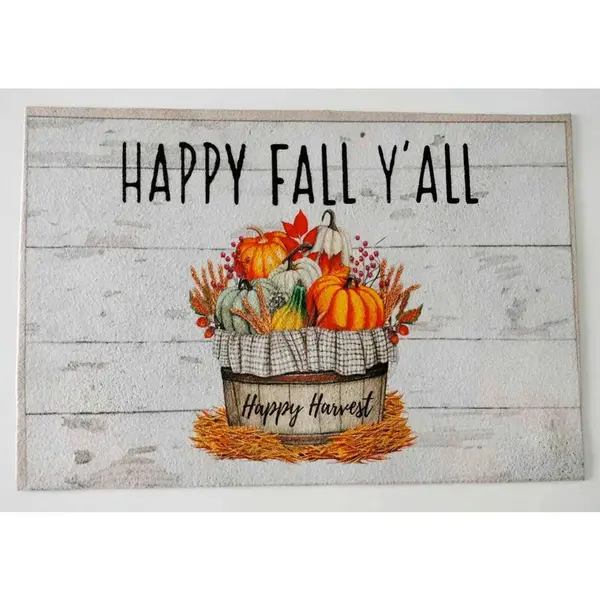 DVEŘNÍ ROHOŽKA, 40/60 cm