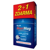 MAXIMAG Horčík 375 mg + B6 100 + 50 kapsúl