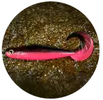 Redbass gumová nástraha twister kixter black/signal pink uv color - l 100 mm