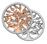 Hot Diamonds Bicolor prívesok Emozioni Balance and Harmony RG Coin EC478-EC479 3,3 cm