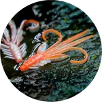 Redbass gumová nástraha nymfa orange/silver uv - xx 15,5 cm 15,7 g