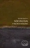 Socialism - Michael Newman