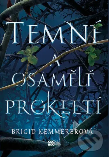 Temné a osamělé prokletí - Brigid Kemmerer