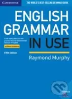 English Grammar in Use - Book without Answers (A Self-study Reference and Practice Book for Intermediate Learners of English (5th Edition)) - kniha z…