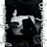 Černý z nebe - Jan Burian