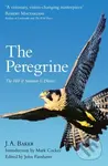 The Peregrine (The Hill of Summer & Diaries) - J.A. Baker - kniha z kategorie Biologie