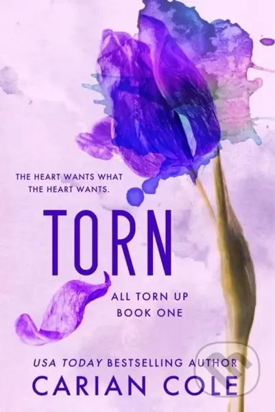 Torn - Carian Cole - kniha z kategorie Romantická