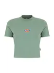 DICKIES Tričko 'Maple Valley'  žltá / zelená / červená