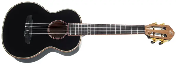 Ortega RUOX-TE (použité)